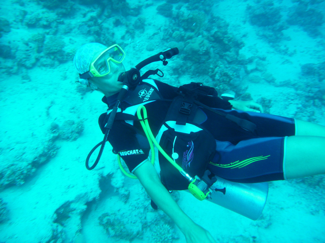 Sea Dancer Dive Resort-达哈卜必去景点