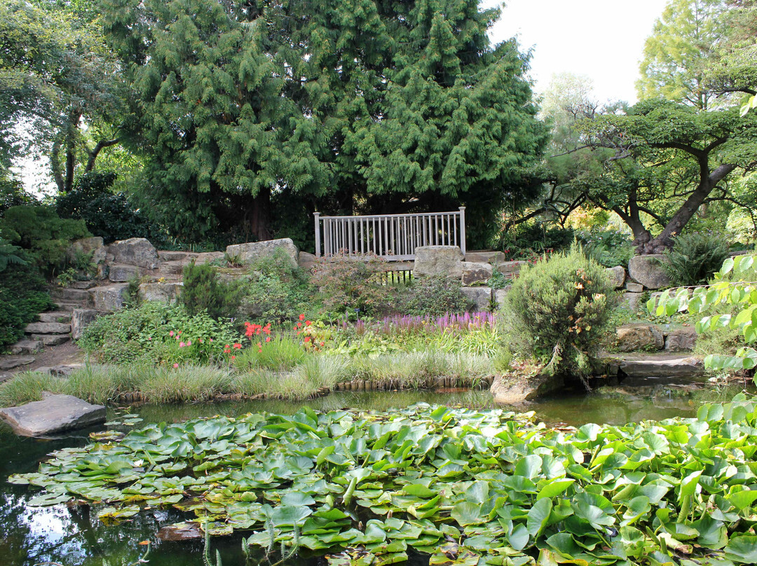 剑桥大学植物园景点图片