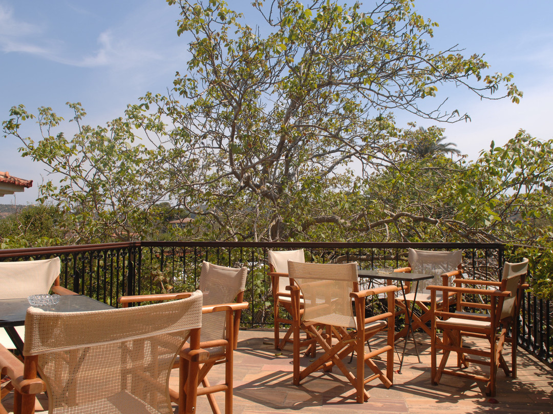 Arhodico Agricultural Pension主图