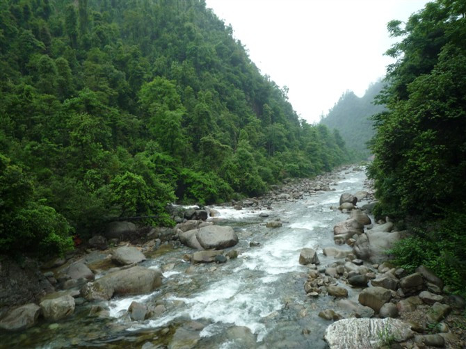 郴州莽山国家森林公园-宜章县必去景点