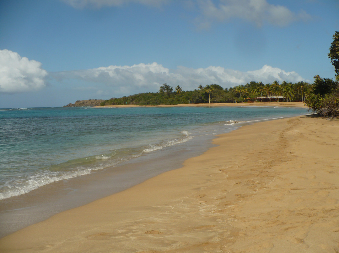 Playa Seven Seas-Las Croabas必去景点