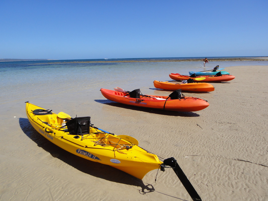 Cruising Kangaroo Island Kayak Tours景点图片