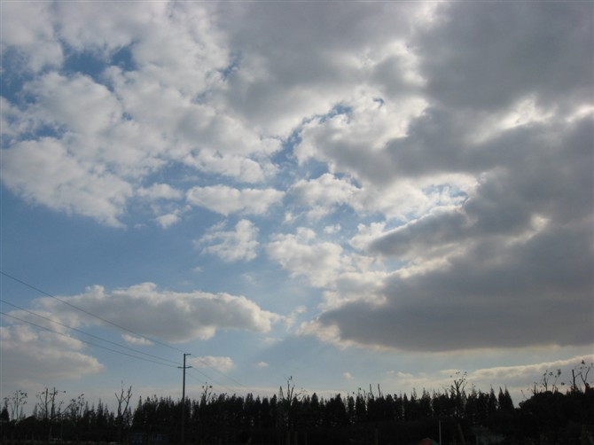 紫海鹭缘浪漫庄园-崇明县必去景点