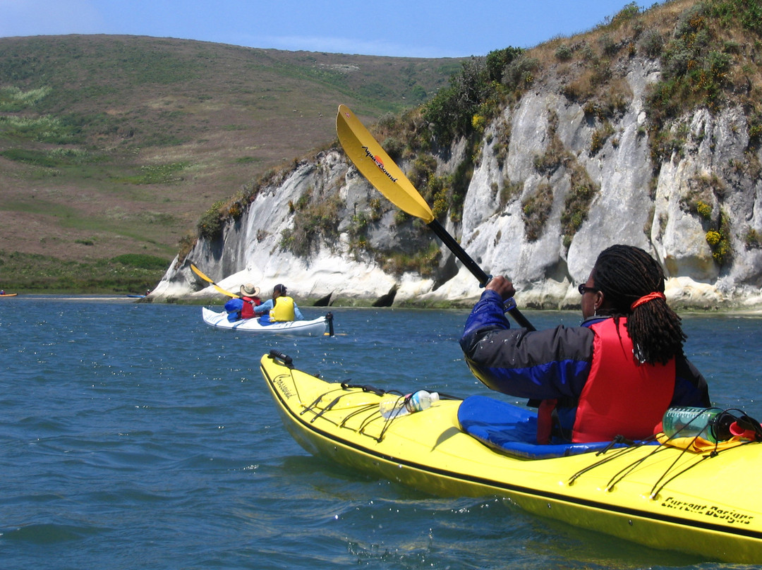 Point Reyes Outdoors-Point Reyes Station必去景点