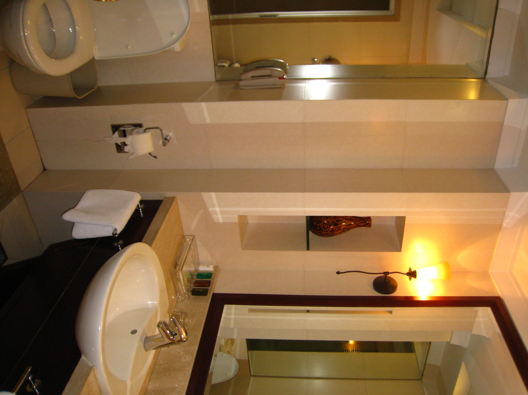 庐山东林庄主图