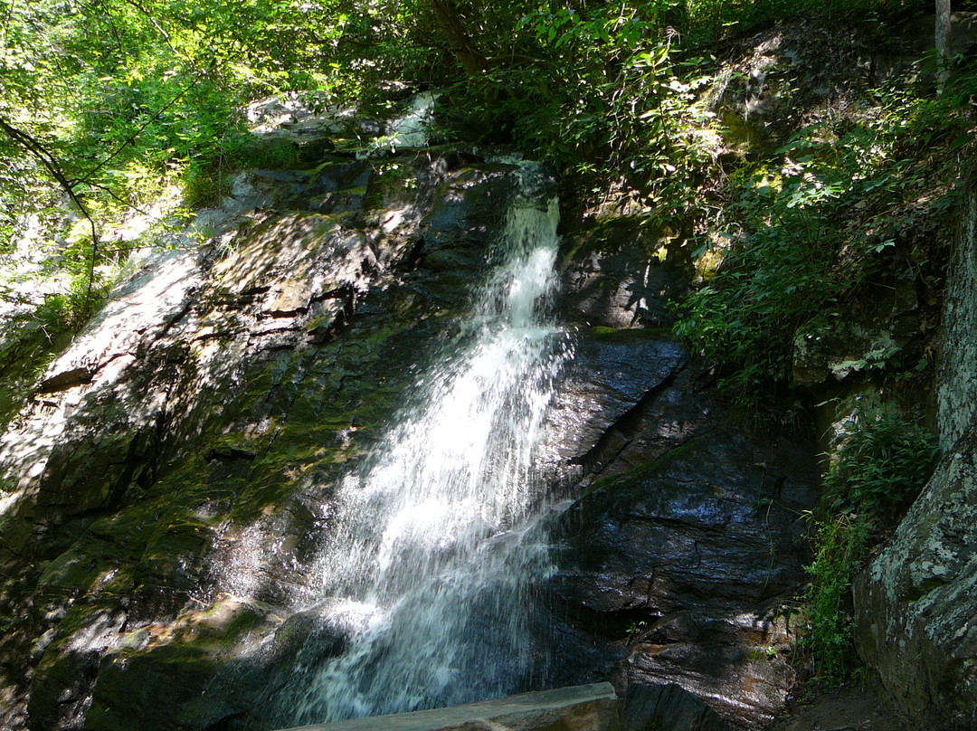 Juney Whank Falls-大雾山国家公园必去景点