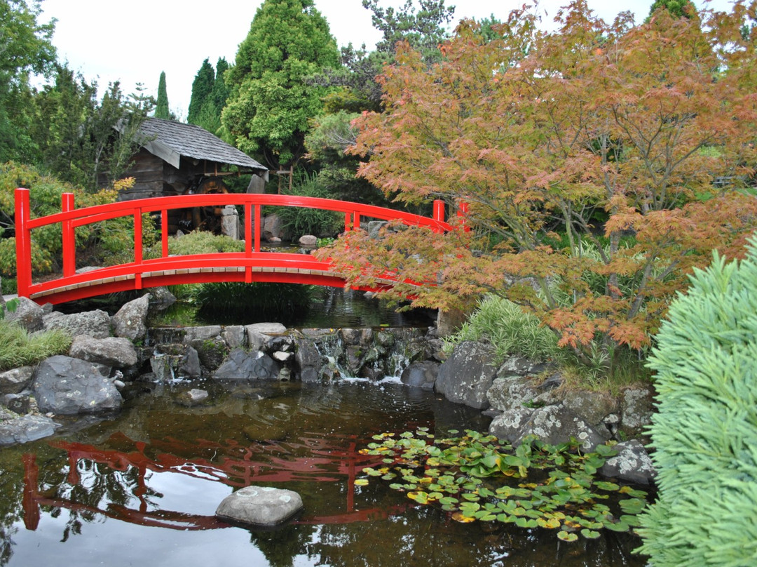 塔斯马尼亚皇家植物园-霍巴特必去景点