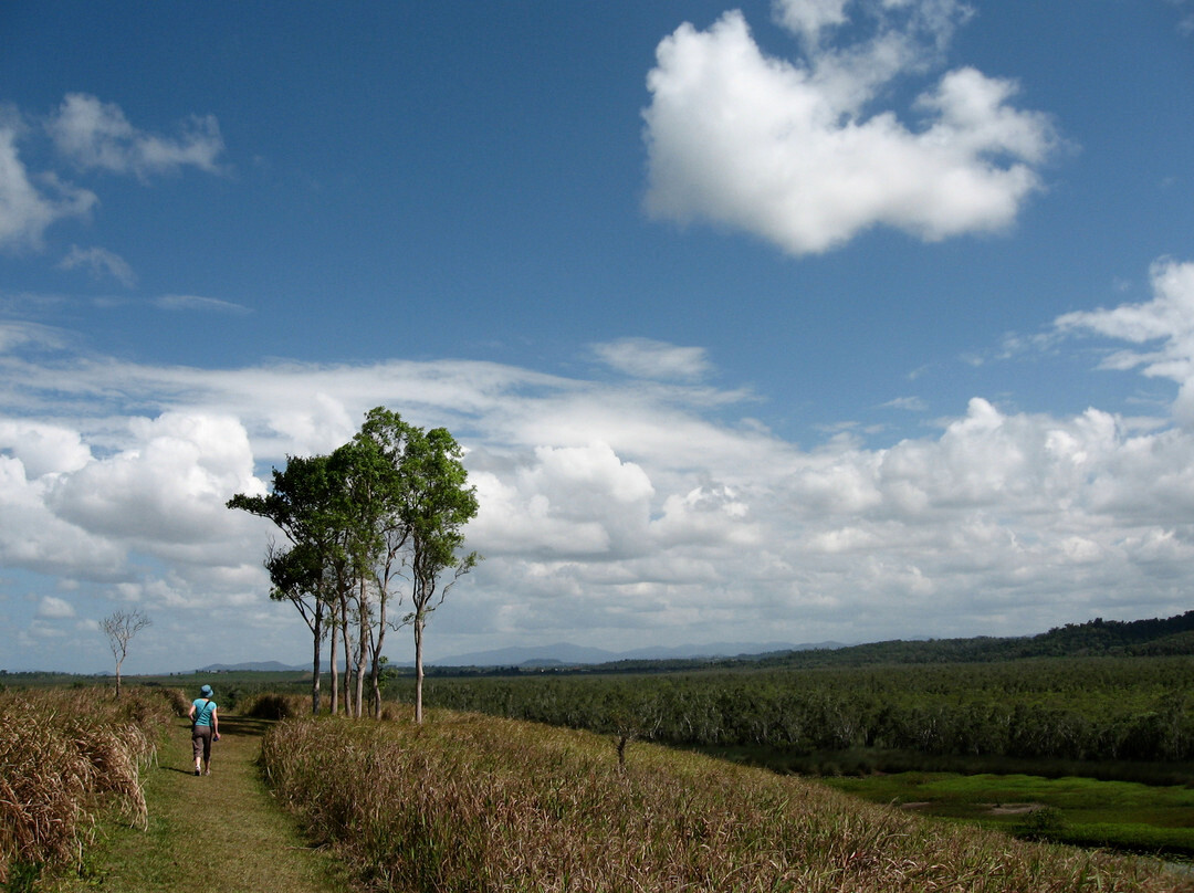 Eubenangee Swamp National Park-昆士兰必去景点