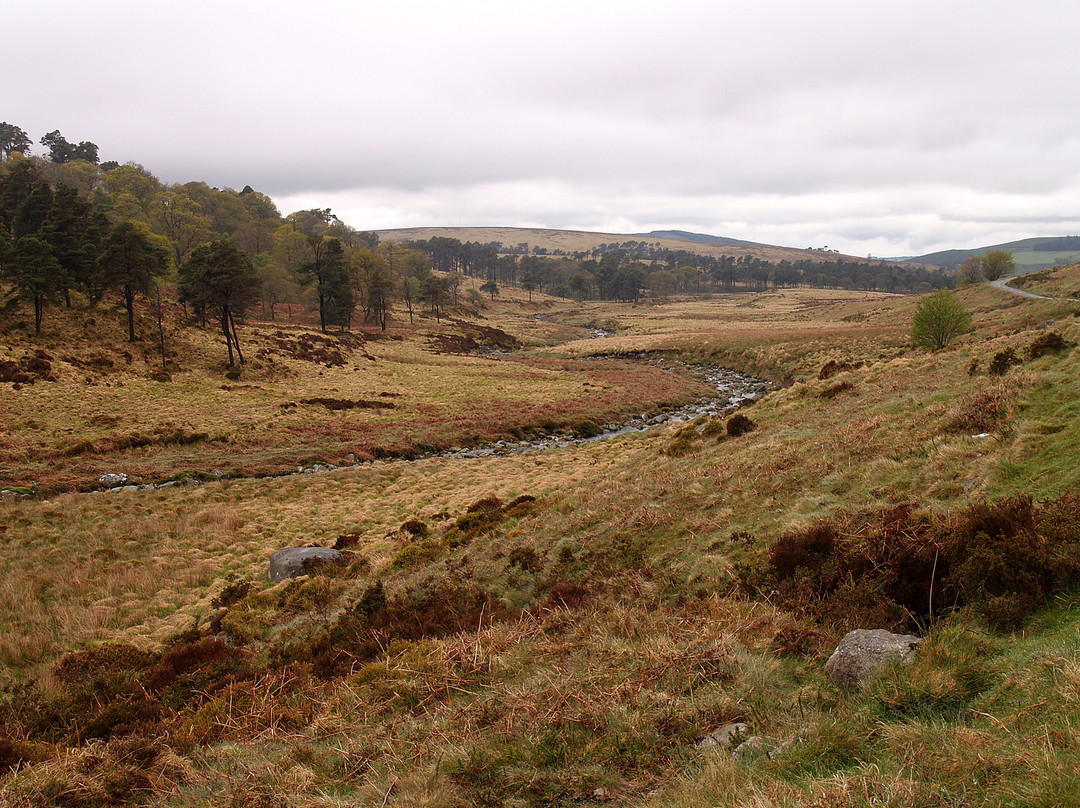Wicklow Mountains National Park-Glendalough Village必去景点