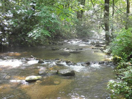 Jones Gap State Park-Marietta必去景点