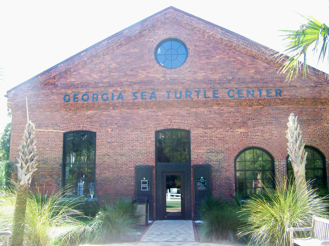 Georgia Sea Turtle Center-吉柯岛必去景点