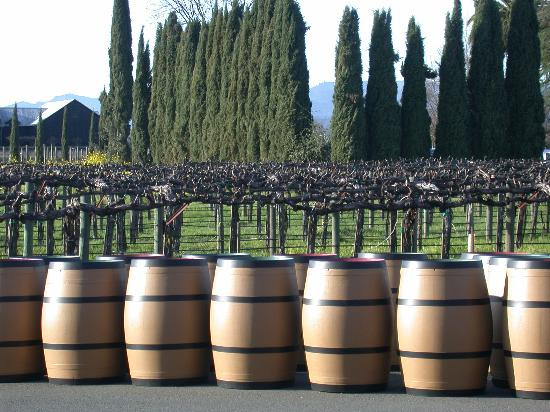 Cakebread Cellars-拉瑟福德必去景点