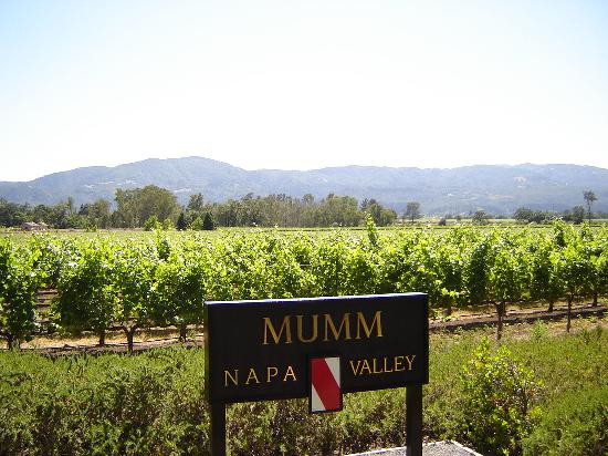 Mumm Napa景点图片