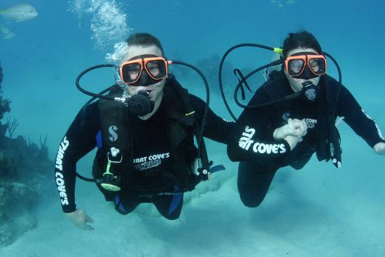 Stuart Cove's Dive Bahamas-新普罗维登斯岛必去景点