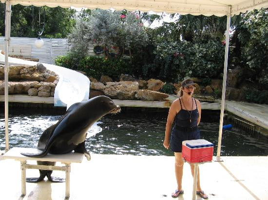 Theater of the Sea-伊斯拉摩拉达必去景点