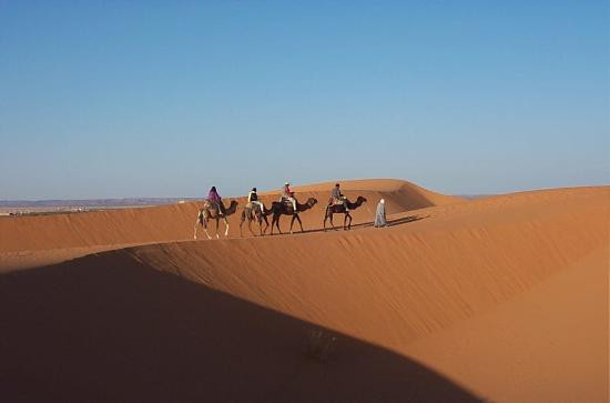 Merzouga Dunes-伊拉悉迪亚必去景点