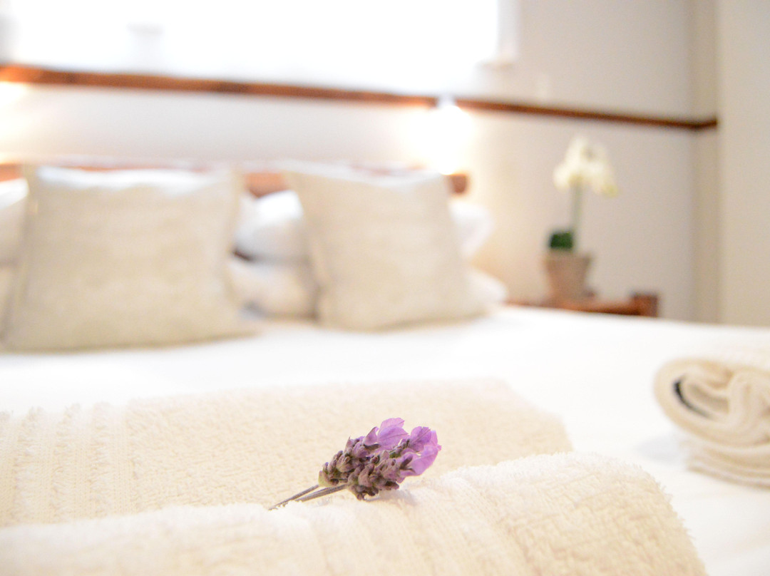 De Berge Gastehuis主图