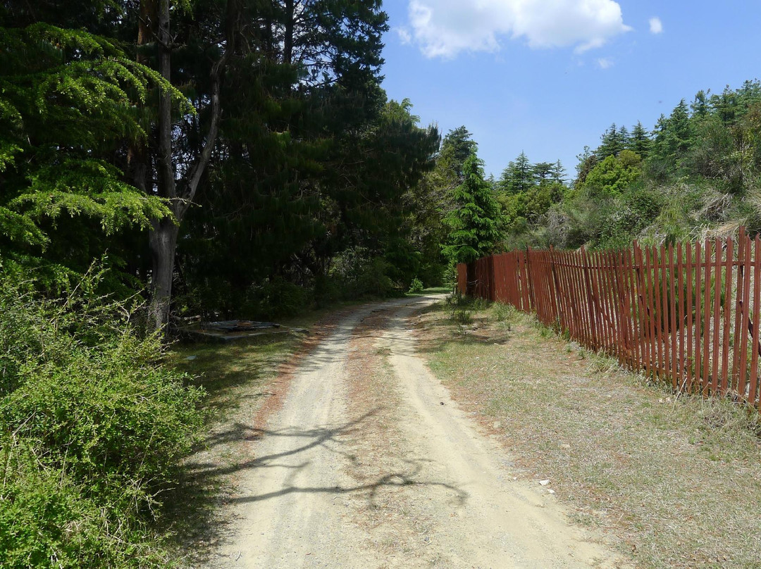 Reserve Forest Sanctuary景点图片