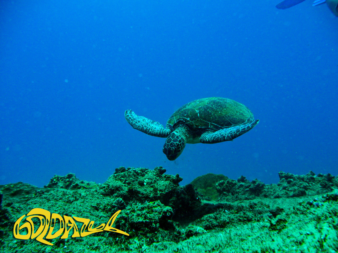 Gozo Azul Marine-Santa Maria必去景点