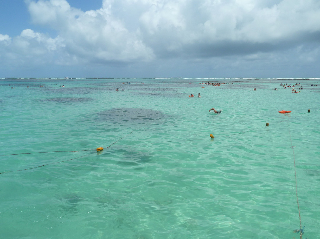 Gales de Maragogi-Maragogi必去景点