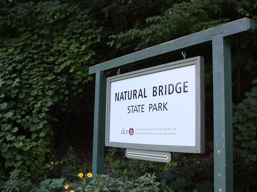 Natural Bridge State Park景点图片