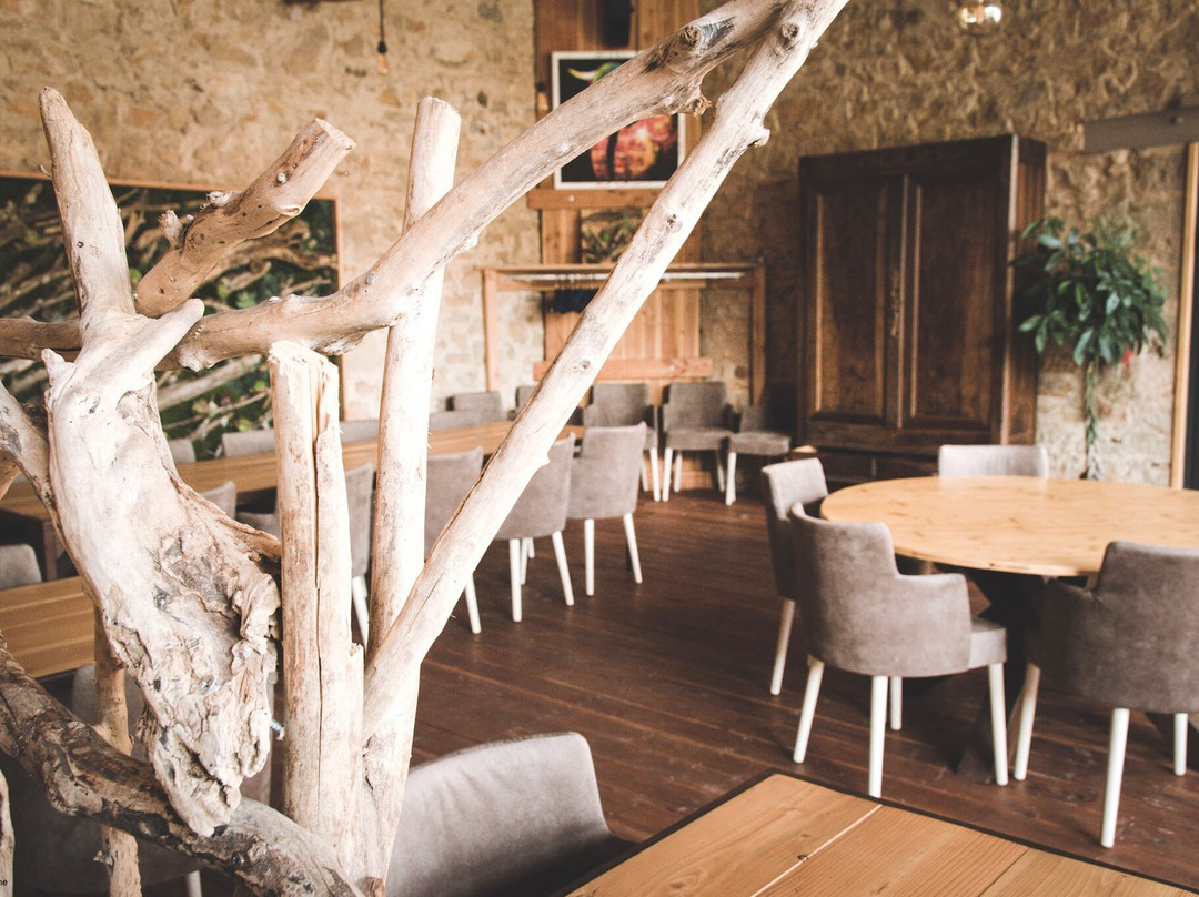 Aspiran餐馆和美食-O Tour de la table