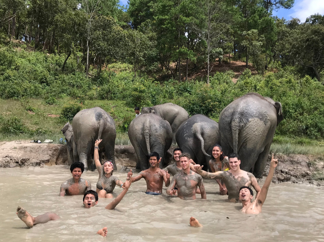 Elephant Pride Sanctuary-清迈必去景点