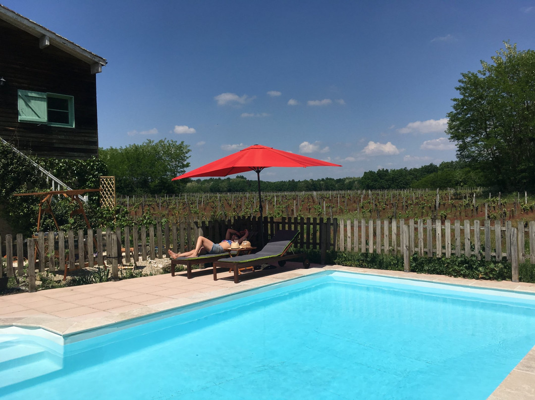 Les Vignes Reines主图