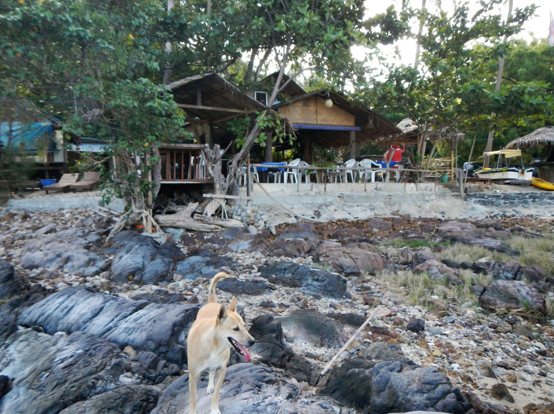 Koh Phaluai餐馆和美食-Beryl Bar