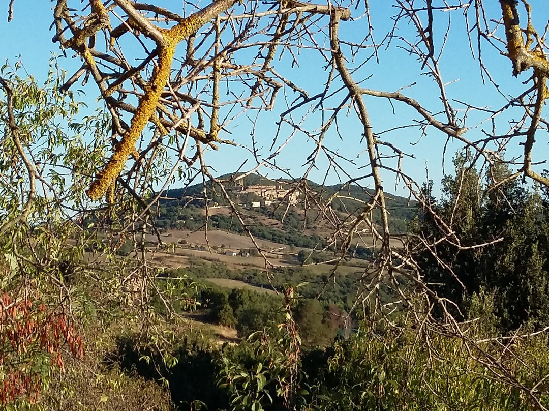 Agriturismo Castello di Bucignano