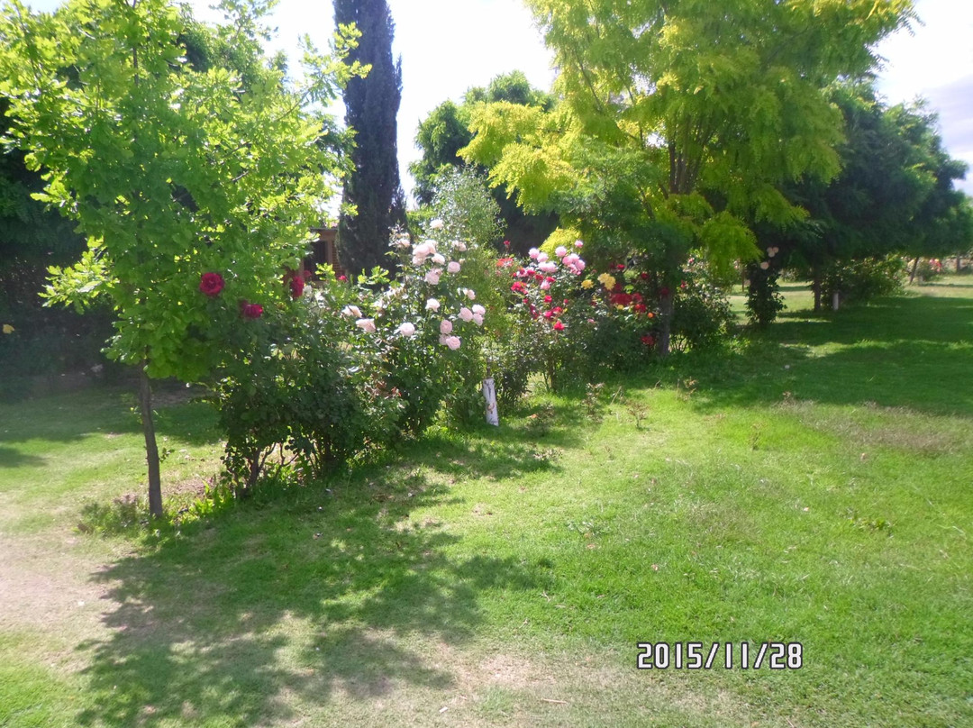 Cabanas Don Humberto