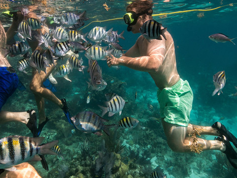 Robert Soto's Watersports-乔治城必去景点