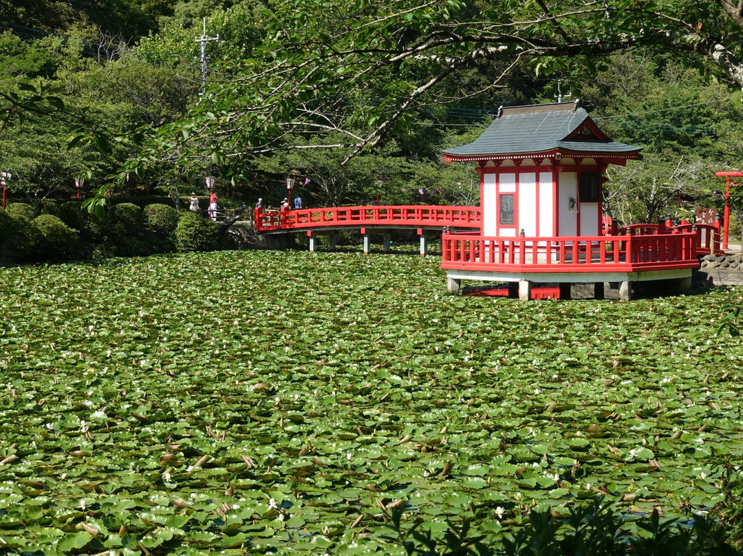 Mobara Park-茂原市必去景点