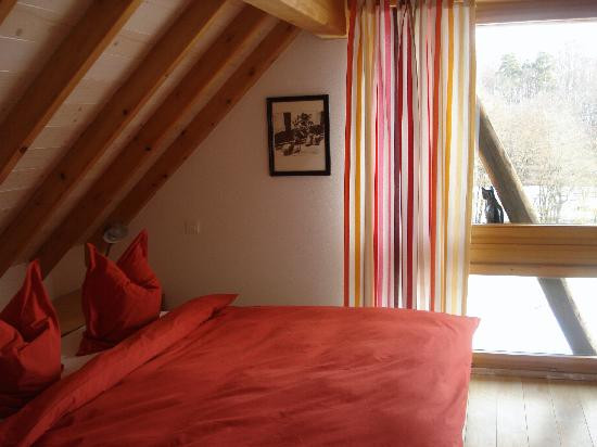 Chat au Grumbach