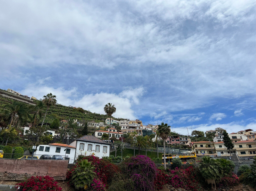 Madeira Green Train-Camara De Lobos必去景点