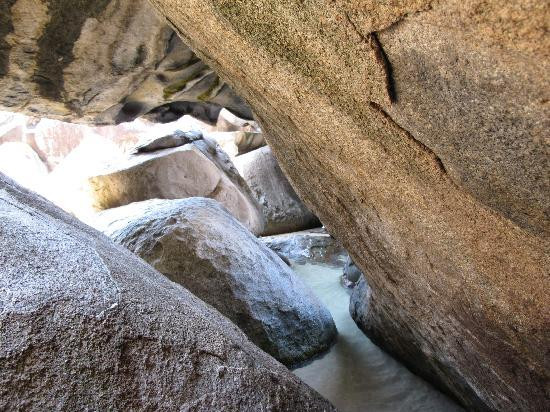 Palm Tree Charters-克鲁兹湾必去景点