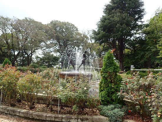 Satomi Park-市川市必去景点