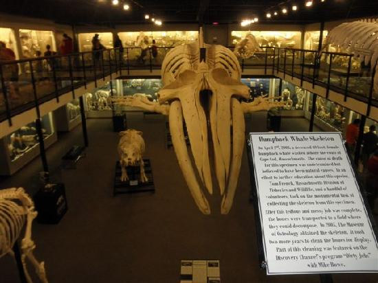 骨学博物馆-俄克拉何马城必去景点