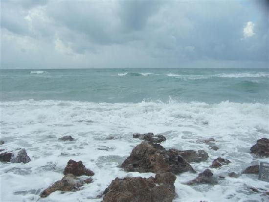 Caspersen Beach-威尼斯必去景点