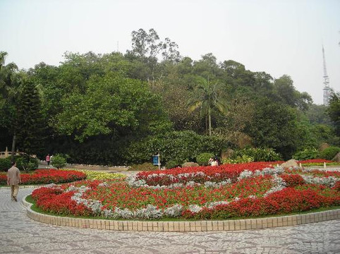 广东省立中山图书馆-广州市必去景点
