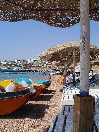 Shark's Bay Beach-沙姆沙伊赫必去景点