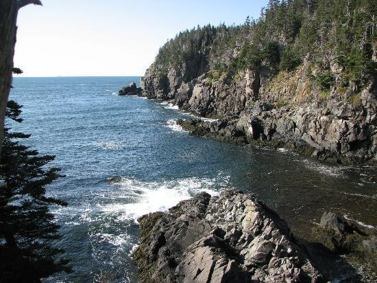 Quoddy Head State Park景点图片