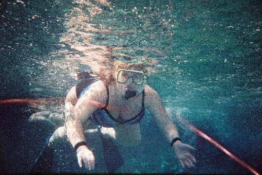 海豚发现之旅-凯鲁瓦-柯纳必去景点