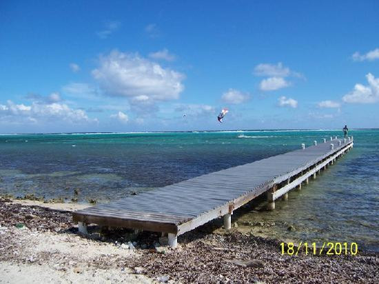 Sweet Spot Watersports-大开曼岛必去景点