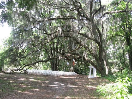 Kanapaha Botanical Gardens-盖恩斯维尔必去景点