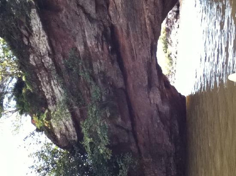 River Bay Adventures-圣约翰必去景点