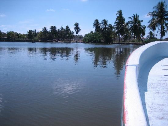 Laguna de Tres Palos景点图片