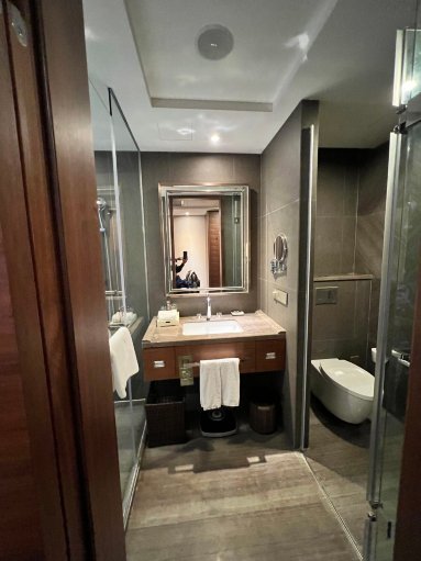 上海建滔诺富特酒店-浴室