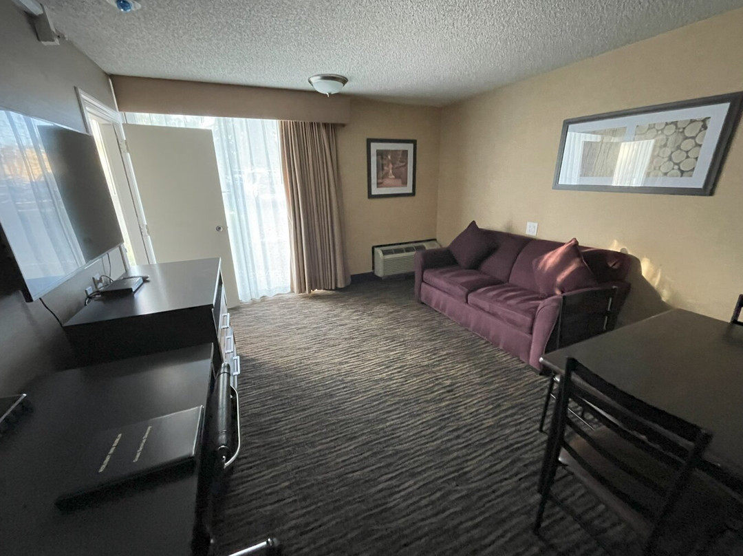 都柏林假日酒店主图