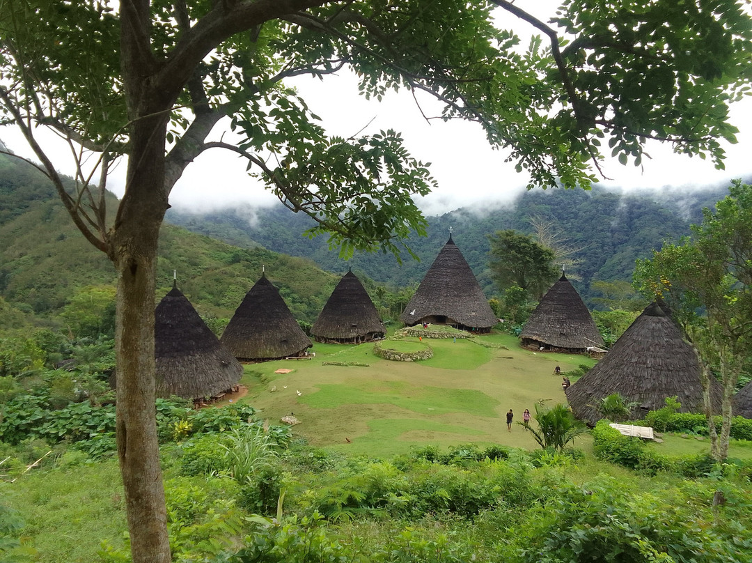 Nusa Flores Travel景点图片